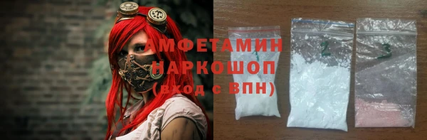 стаф Алзамай