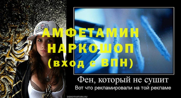 стаф Алзамай