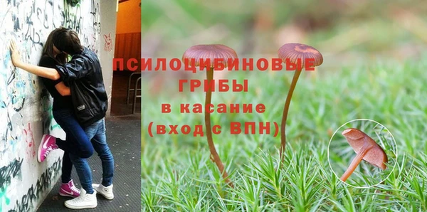 марки nbome Алексеевка