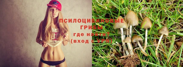 дистиллят марихуана Нея