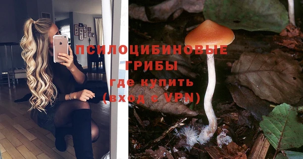 марки nbome Алексеевка