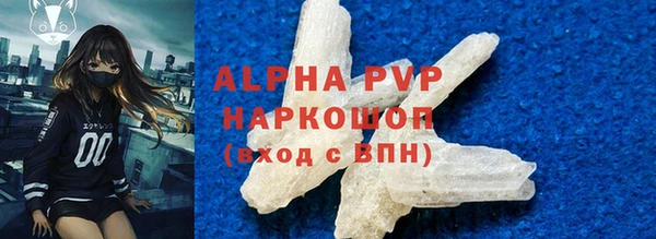 стаф Алзамай